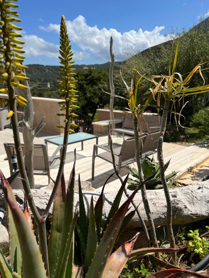 Alelca Domo Bed & Breakfast Buggerru Dış mekan fotoğraf