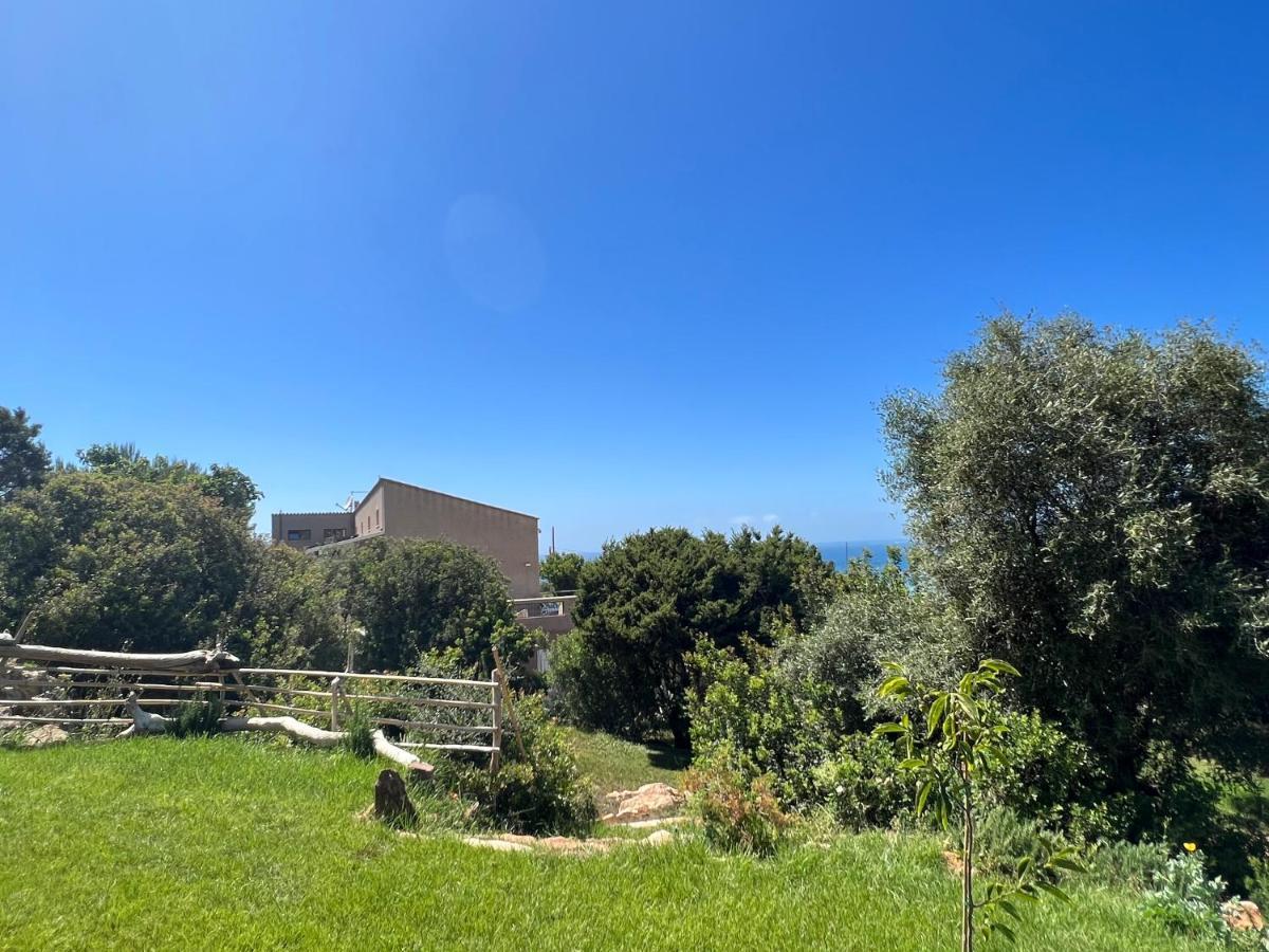 Alelca Domo Bed & Breakfast Buggerru Dış mekan fotoğraf